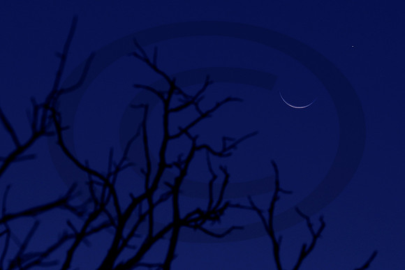Waxing Moon by Christopher Clark 091925 A71I3140