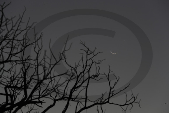A71I3141