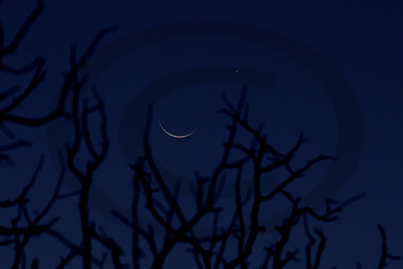 Waxing Moon by Christopher Clark 091925 A71I3138